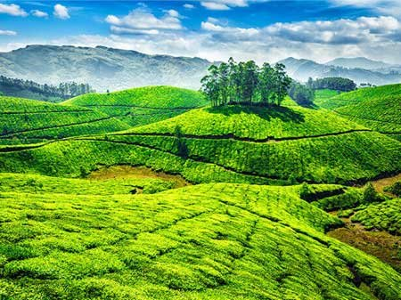 Munnar